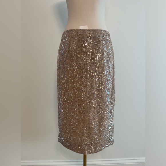Zeynep Arcay NWT Sequin Slit Skirt in Nude - Picture 15 of 16